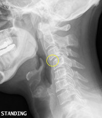 4189447228_c439f1d72f_z_small