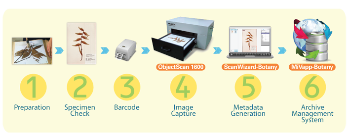 Objectscan workflow