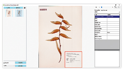 automated metadata recognition